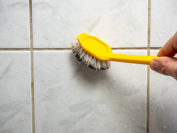 Best Mold Remediation for Specific Building Types in Cave Junction, OR